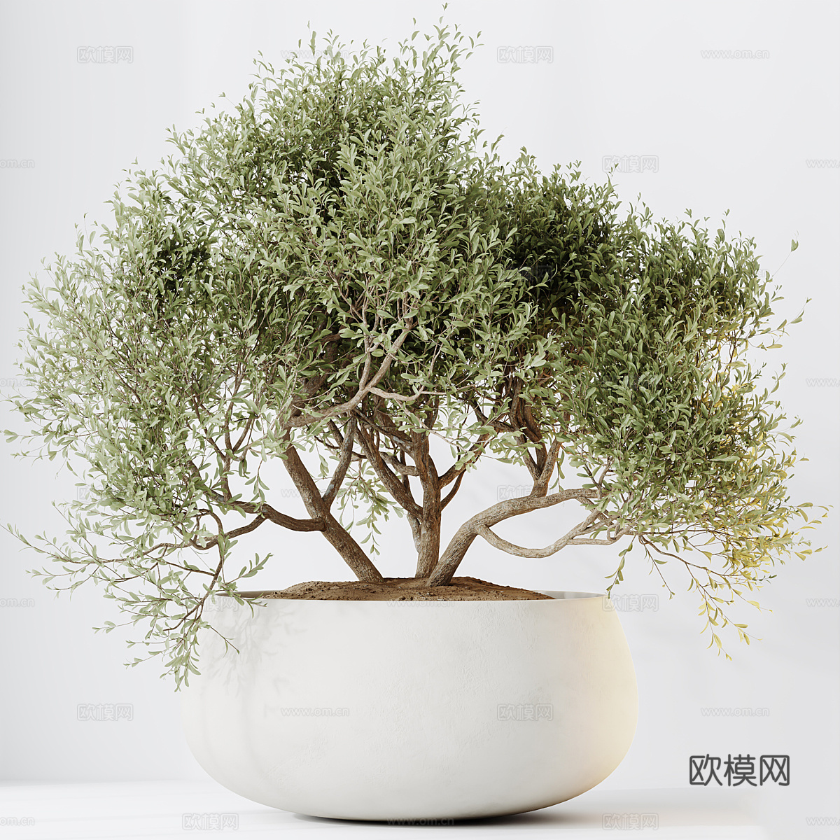 新中式侘寂绿植盆栽3d模型