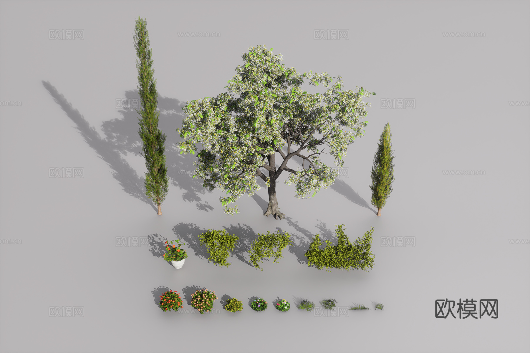 植物组合3d模型