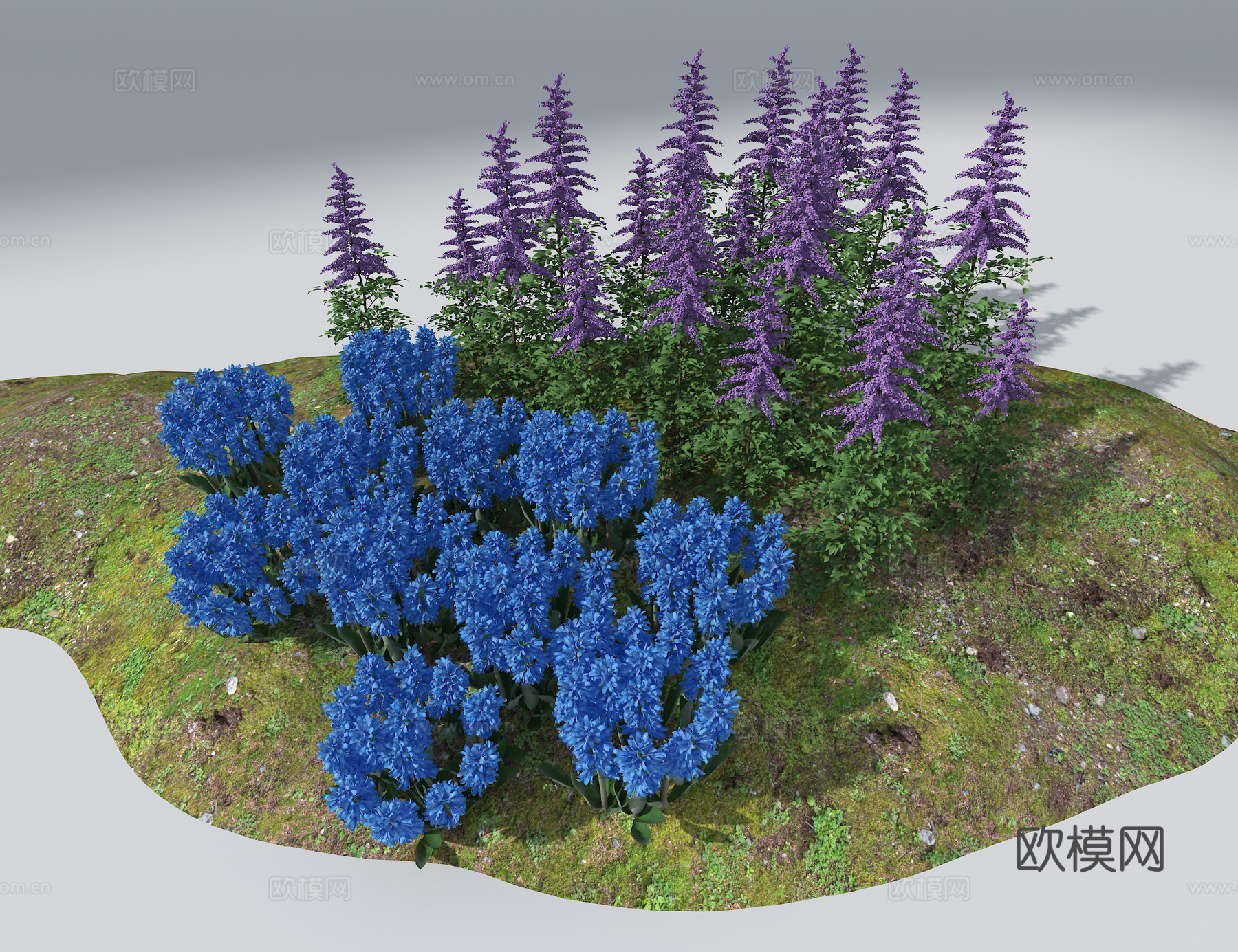 景观花草3d模型