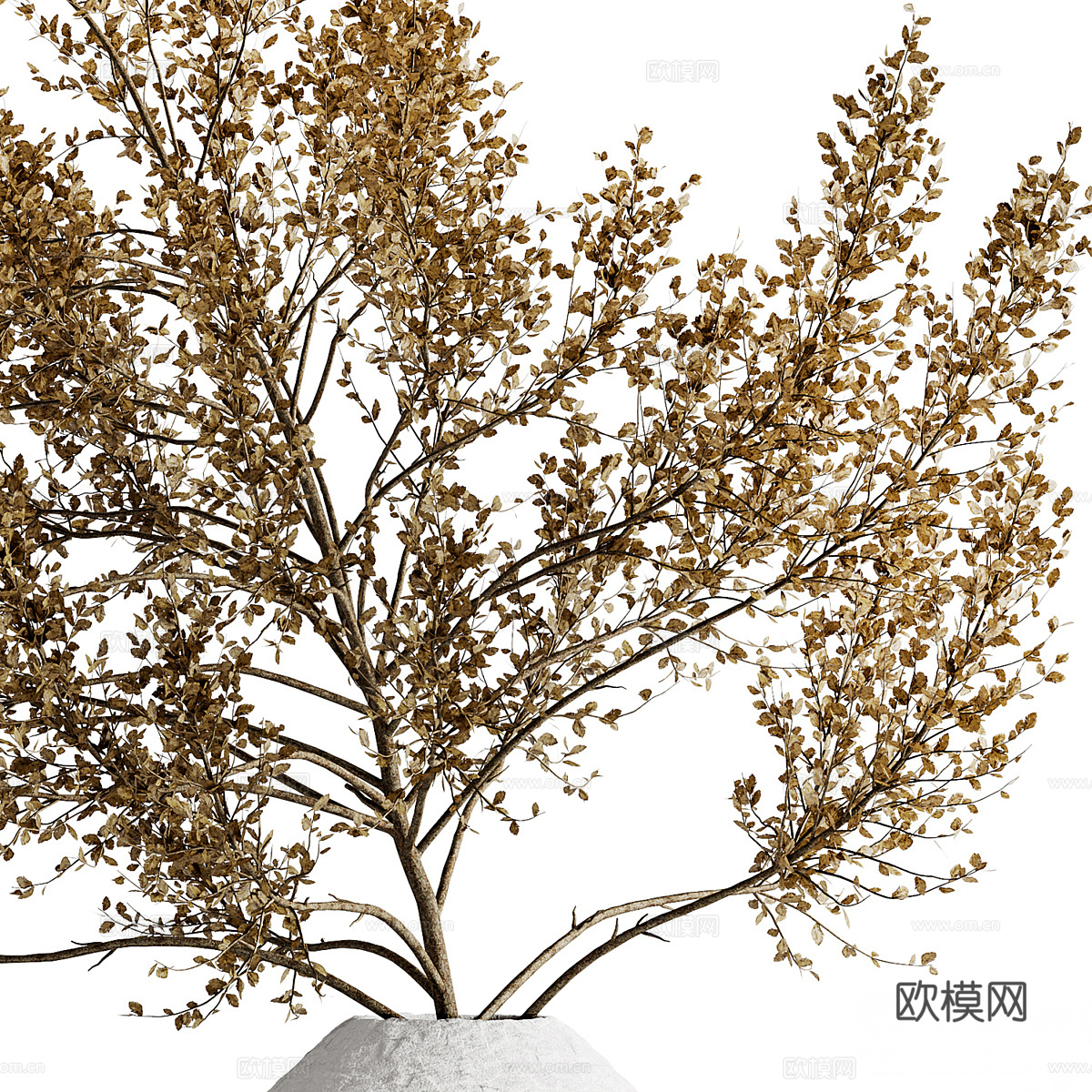 干花束03免费3d模型