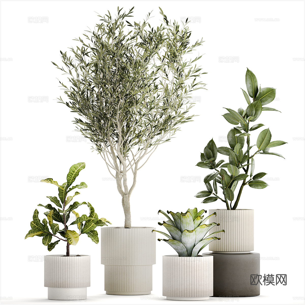 现代绿植盆景盆栽3d模型