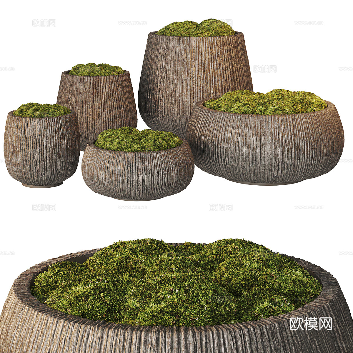 新中式盆景 苔藓3d模型