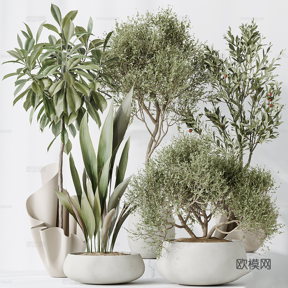 新中式侘寂绿植盆栽3d模型