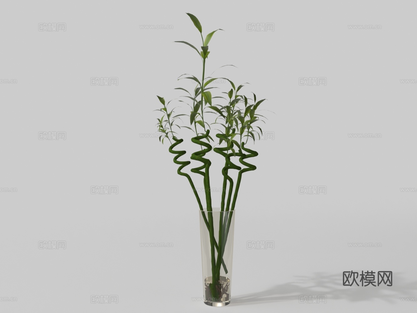 植物花卉落地水生植物3d模型