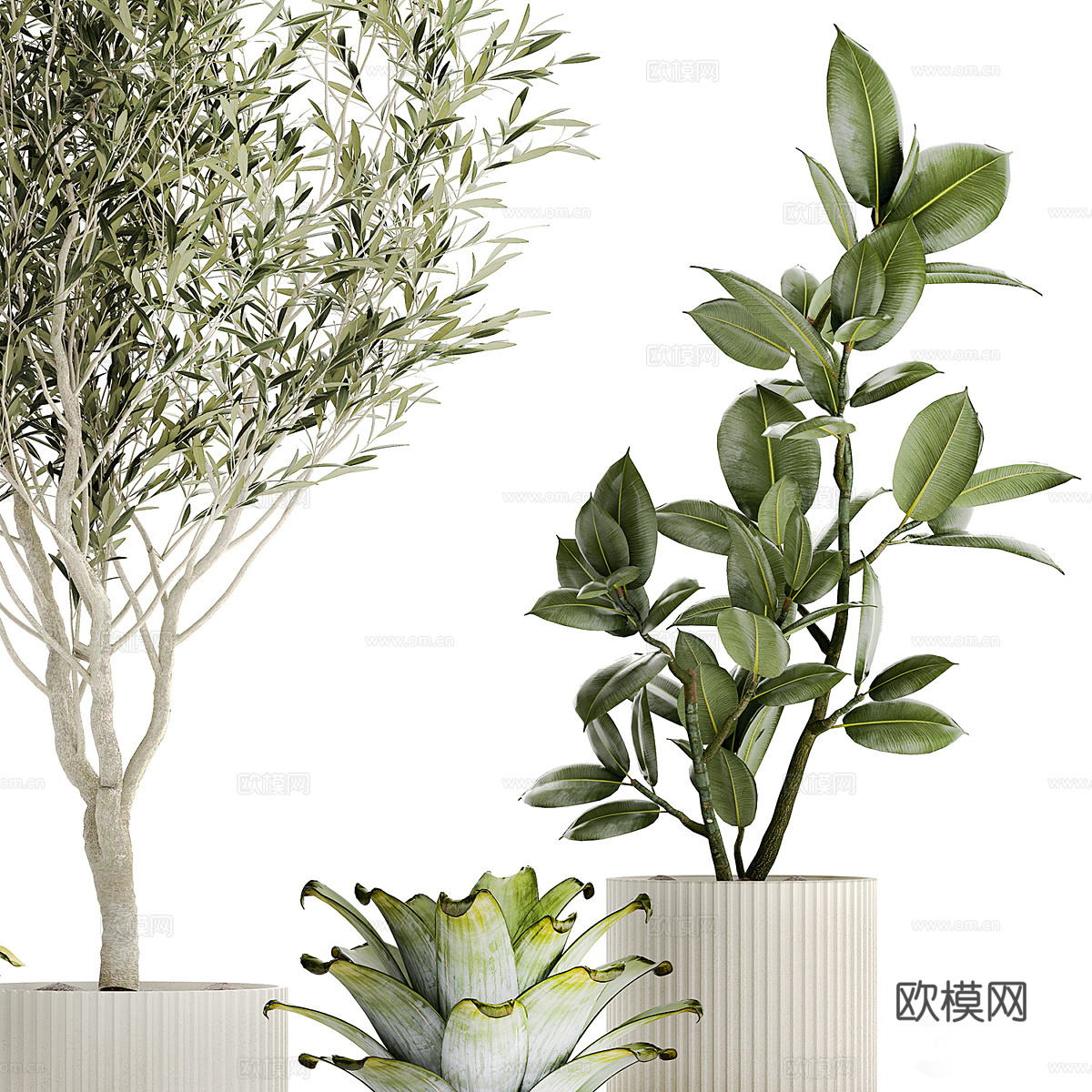 现代绿植盆景盆栽3d模型