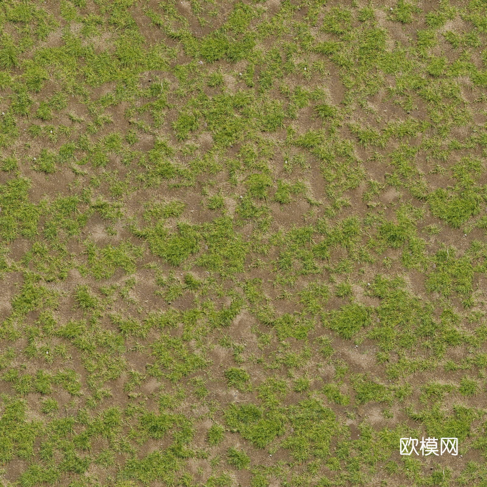 无缝草地草坪草皮地面贴图下载