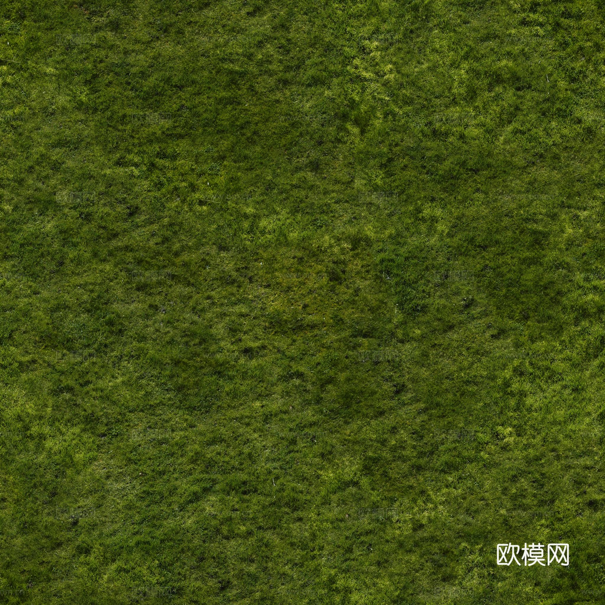 无缝草地草坪草皮地面贴图
