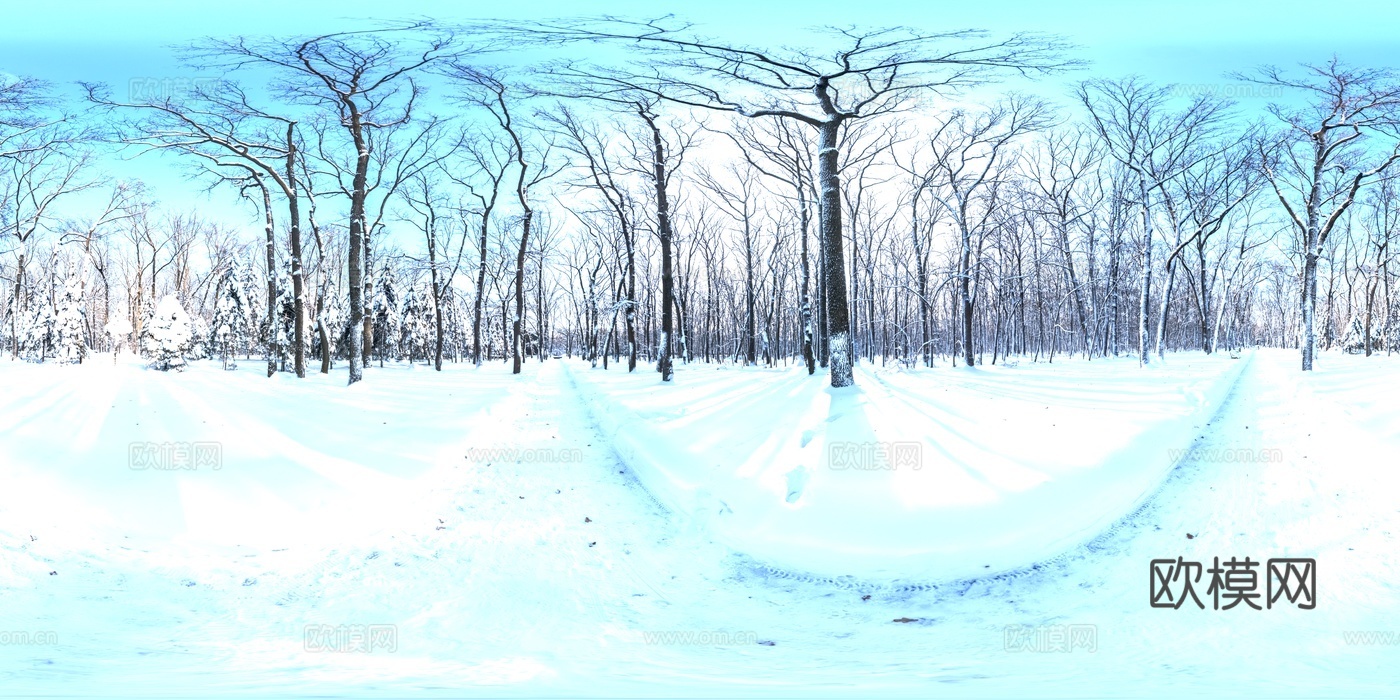 HDR 雪地 雪景