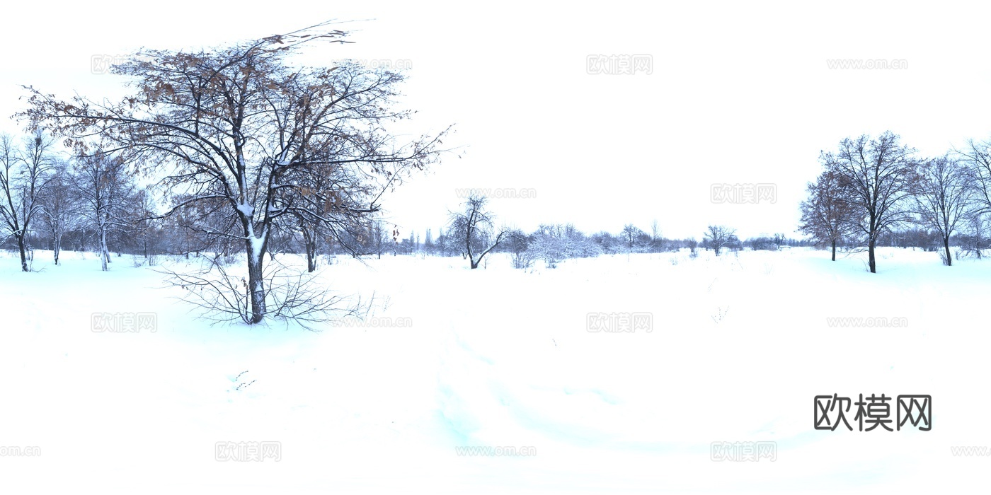 HDR 雪地 雪景