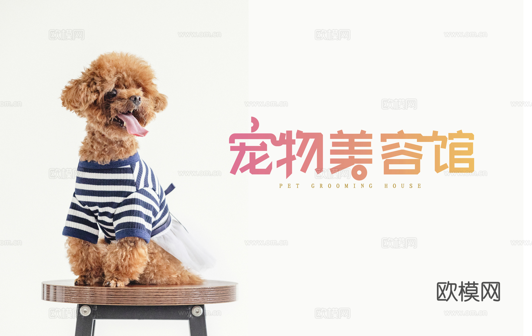 宠物美容海报