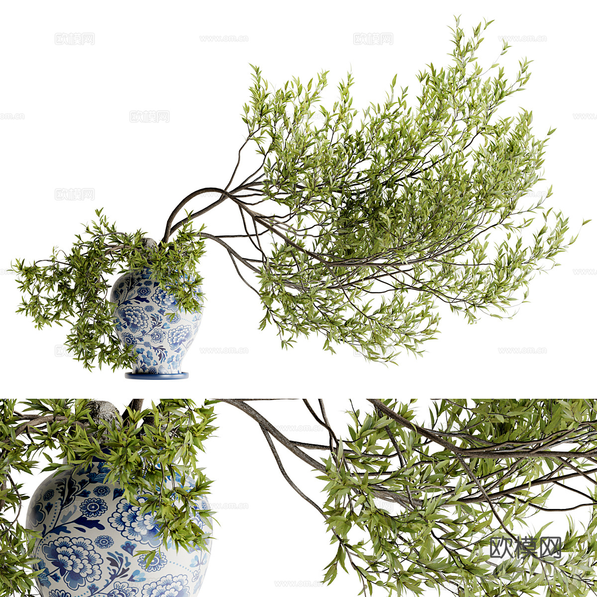 现代植物盆栽盆景绿植3d模型