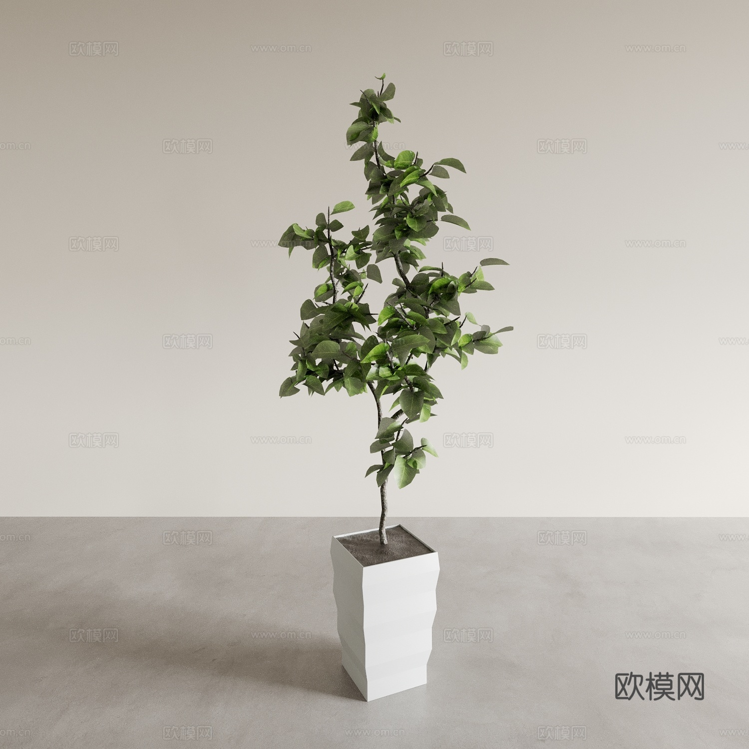 盆景盆栽 室内绿植 植物摆件 植物花盆 花瓶花盆3d模型