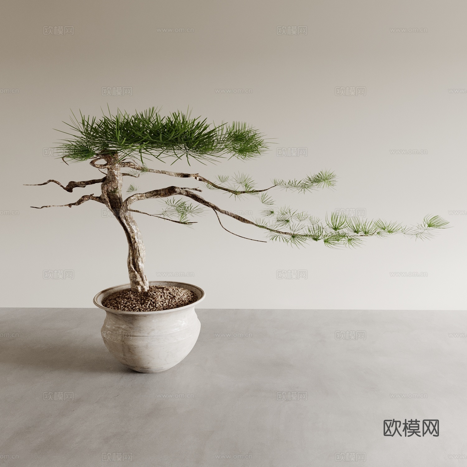 盆景盆栽 室内绿植 植物摆件 植物花盆 花瓶花盆3d模型