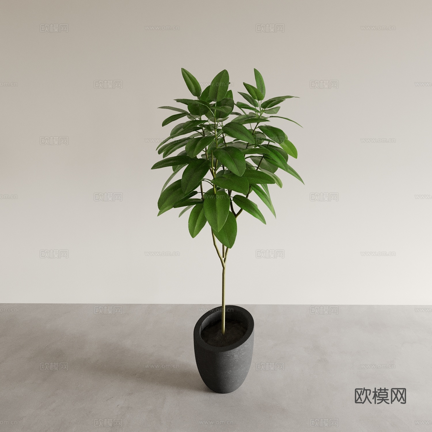 盆景盆栽 室内绿植 植物摆件 植物花盆 花瓶花盆3d模型