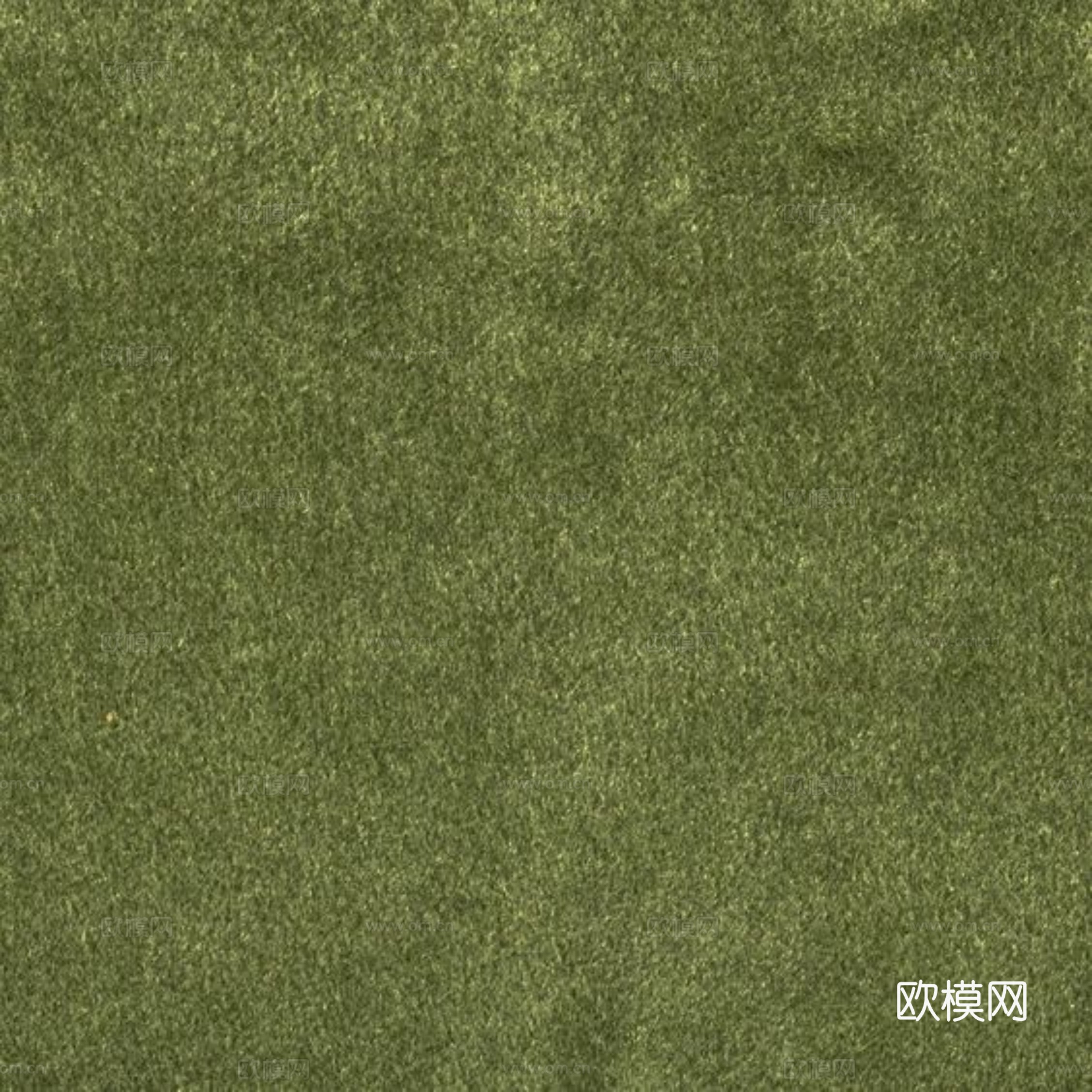 草皮 草地 绿地