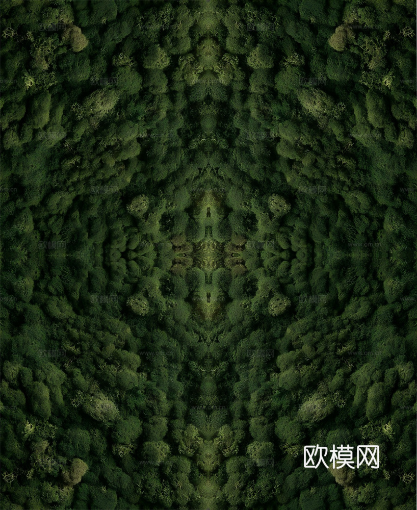 草皮 草地
