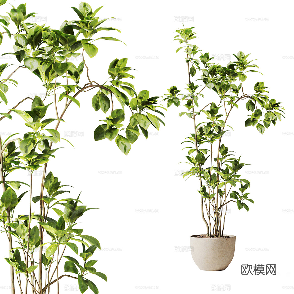 新中式绿植盆栽3d模型