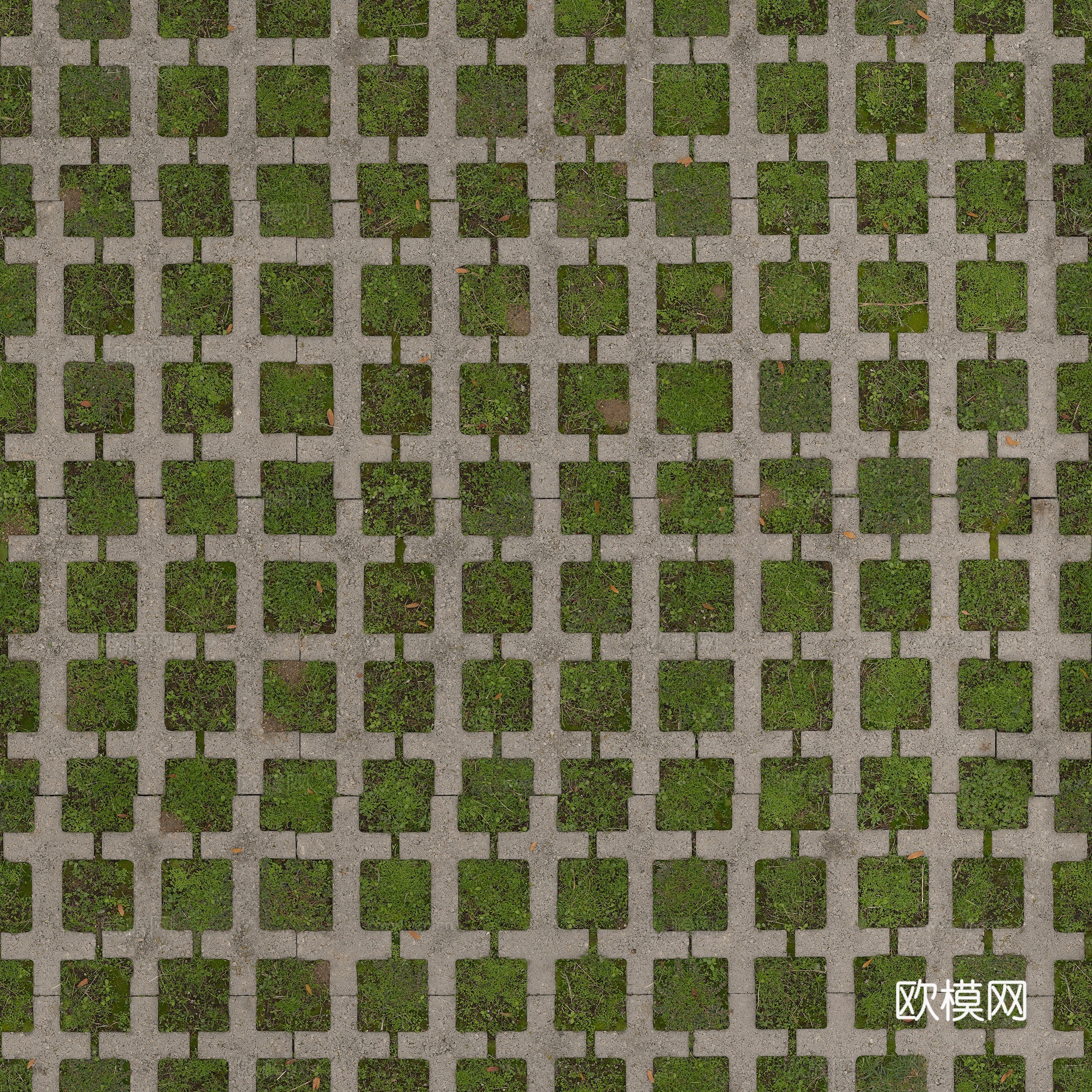 草皮 草地 植草砖