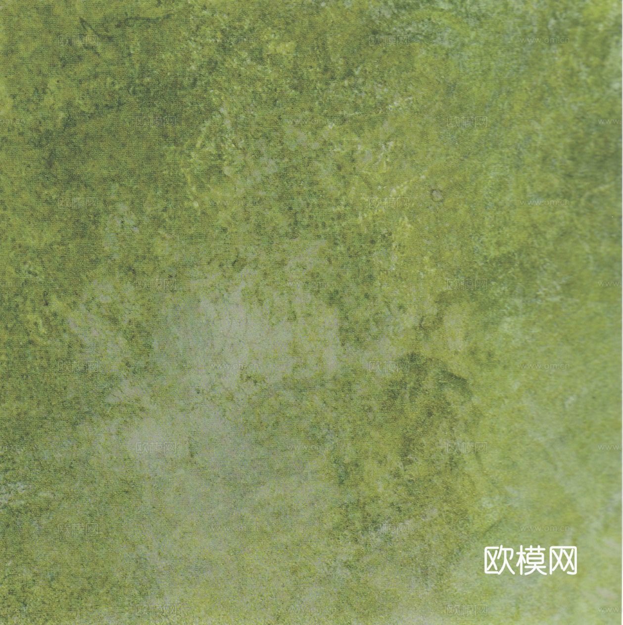 草皮 草地 绿地