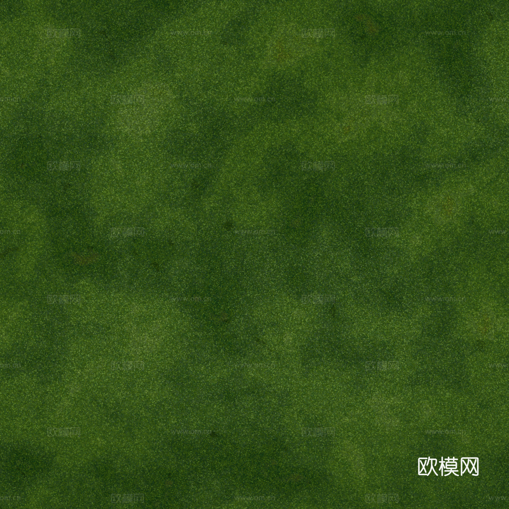 草皮 草地 绿地