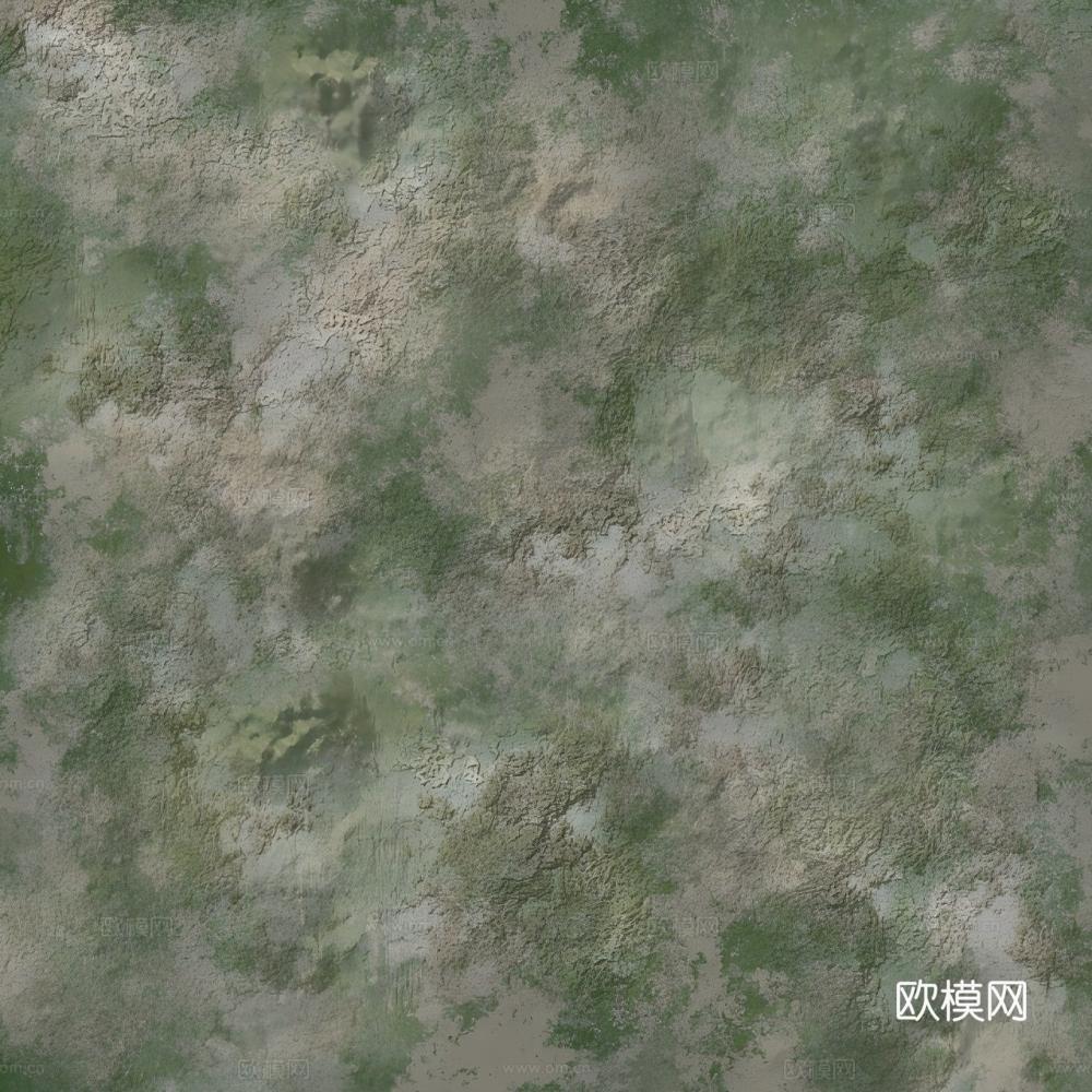草皮 草地