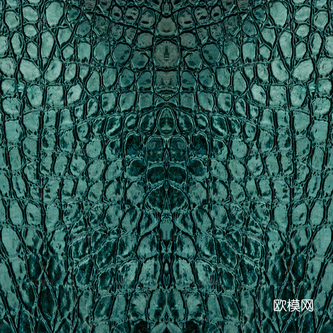 皮革 鳄鱼皮 动物皮 肌理皮纹下载