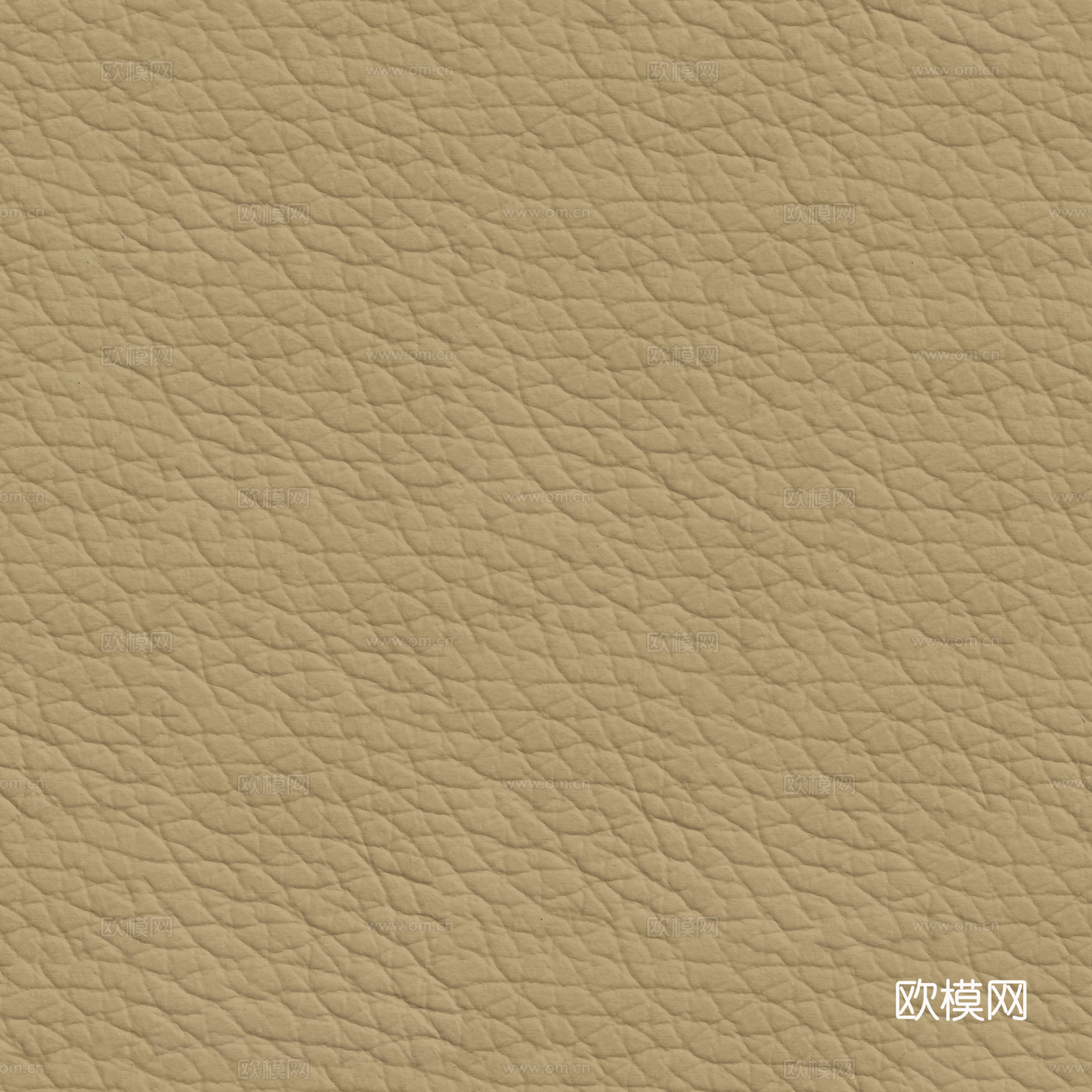 真皮 皮革
