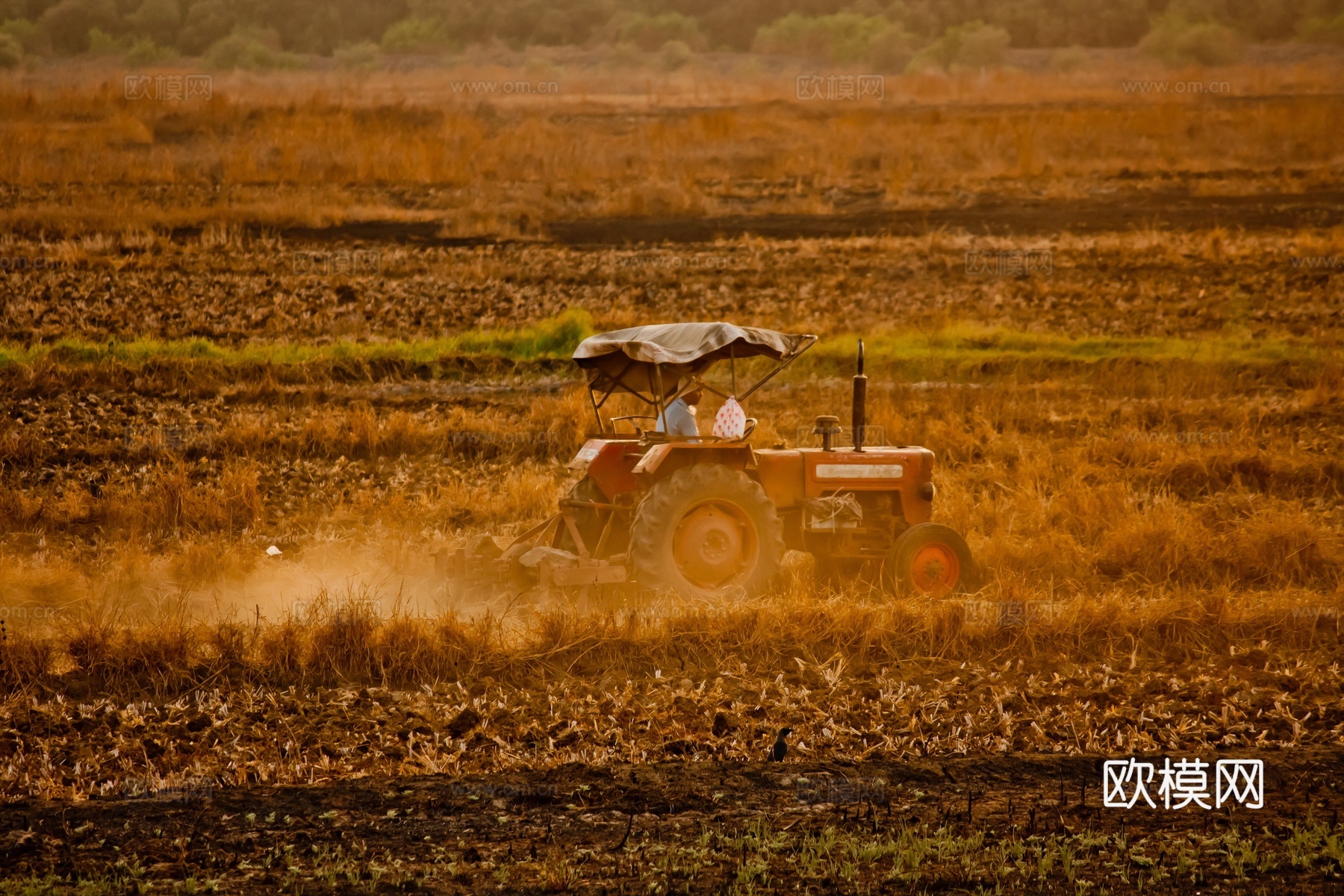 乡村外景 外景   窗户外景  室外景观  大自然外景下载