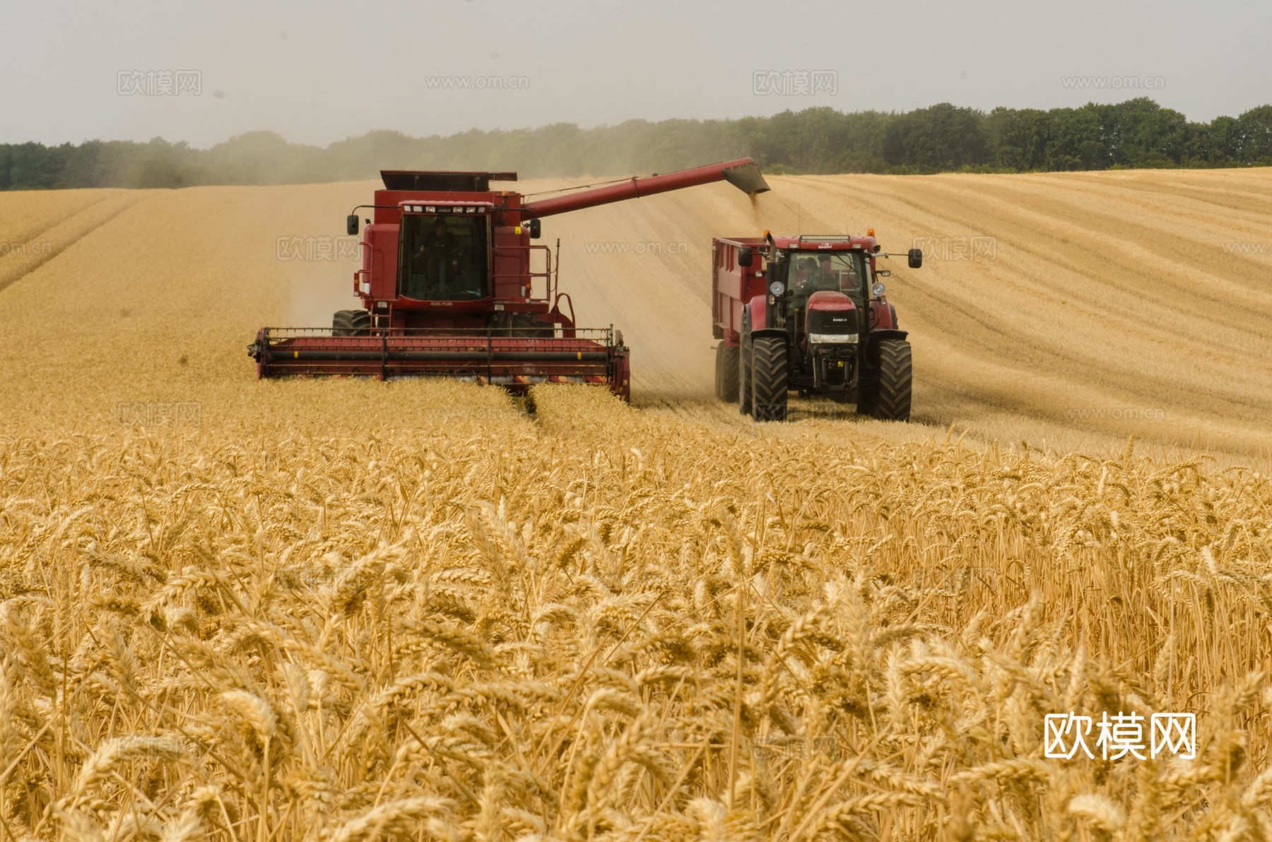 大自然外景 乡村外景 外景   窗户外景  室外景观下载