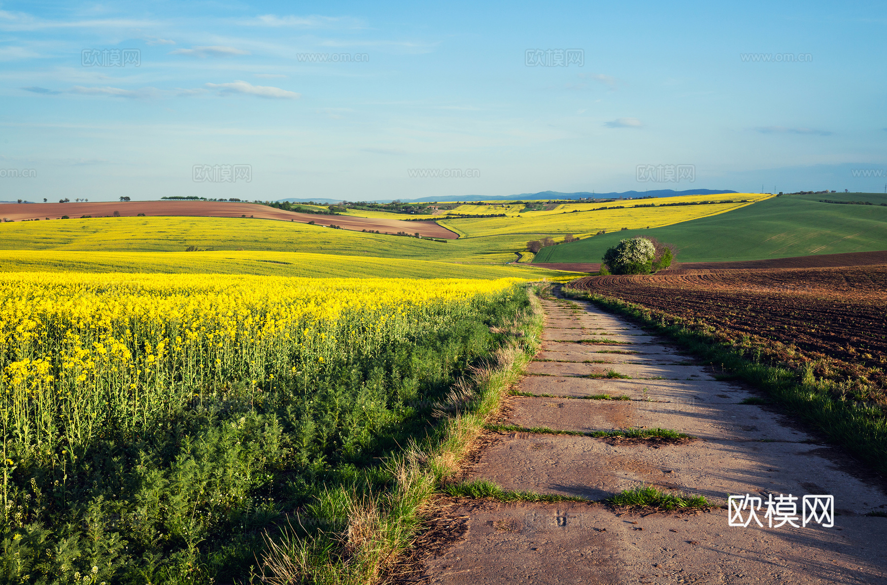 大自然外景  外景   窗户外景 乡村外景   室外景观下载