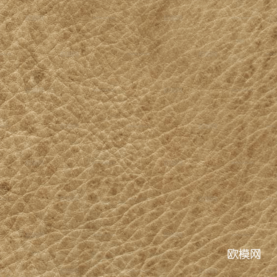 皮纹 皮革 肌理纹