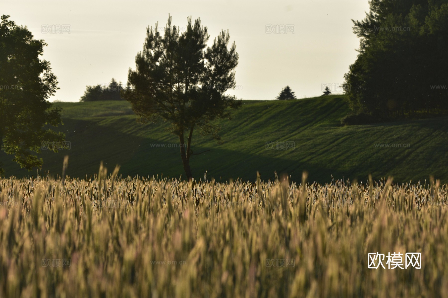 乡村外景 外景   窗户外景  室外景观  大自然外景下载