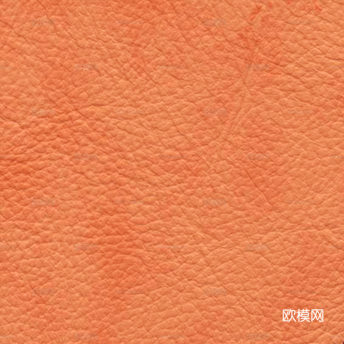 皮纹 皮革 肌理纹