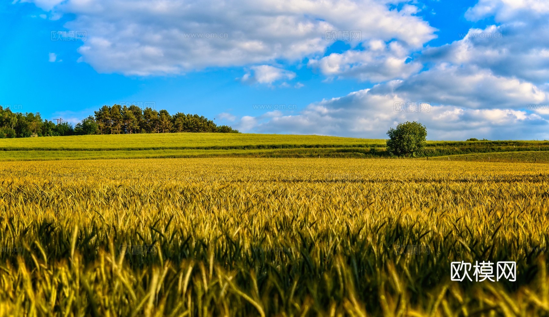 乡村外景 外景   窗户外景  室外景观  大自然外景下载
