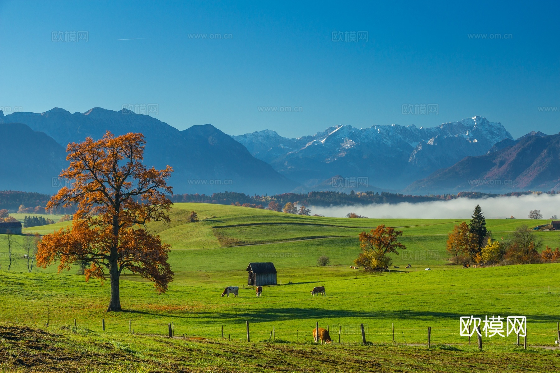 大自然外景  乡村外景 外景   窗户外景  室外景观下载