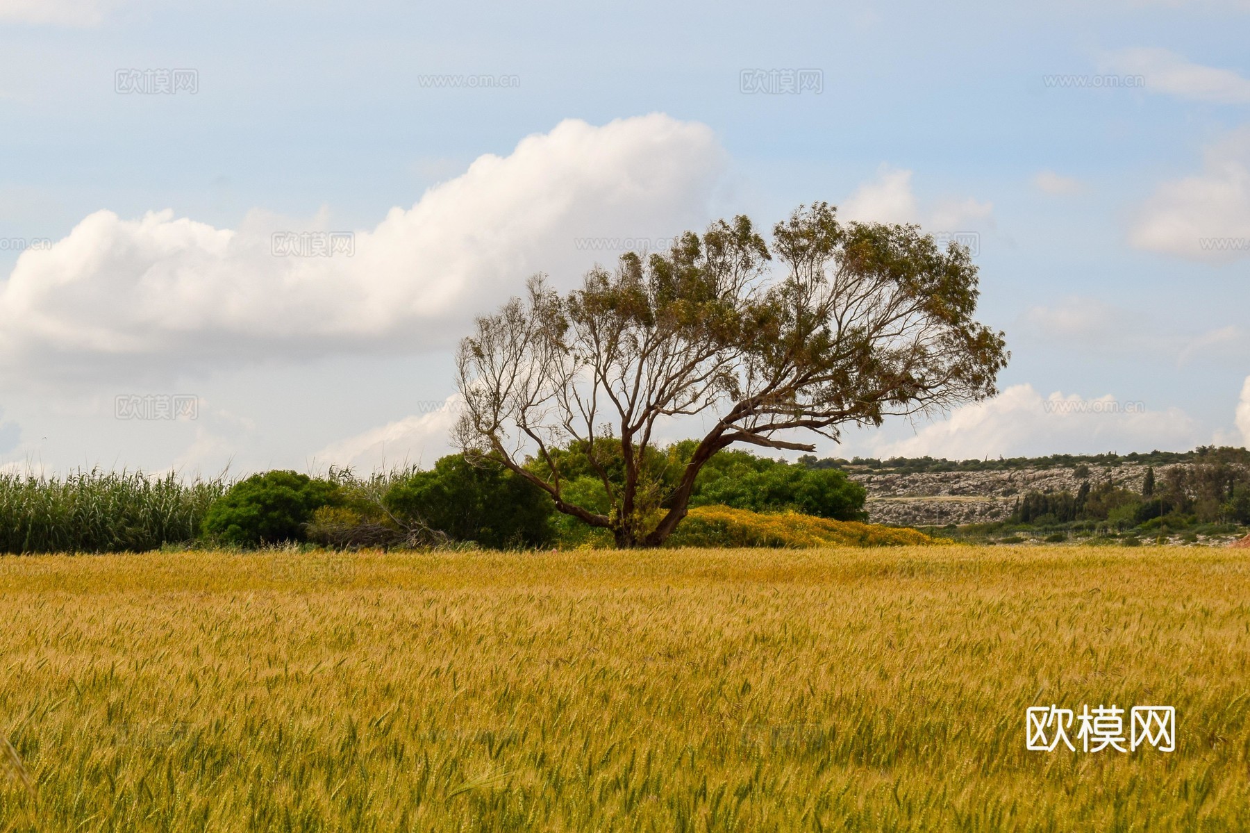 大自然外景 乡村外景 外景   窗户外景  室外景观下载