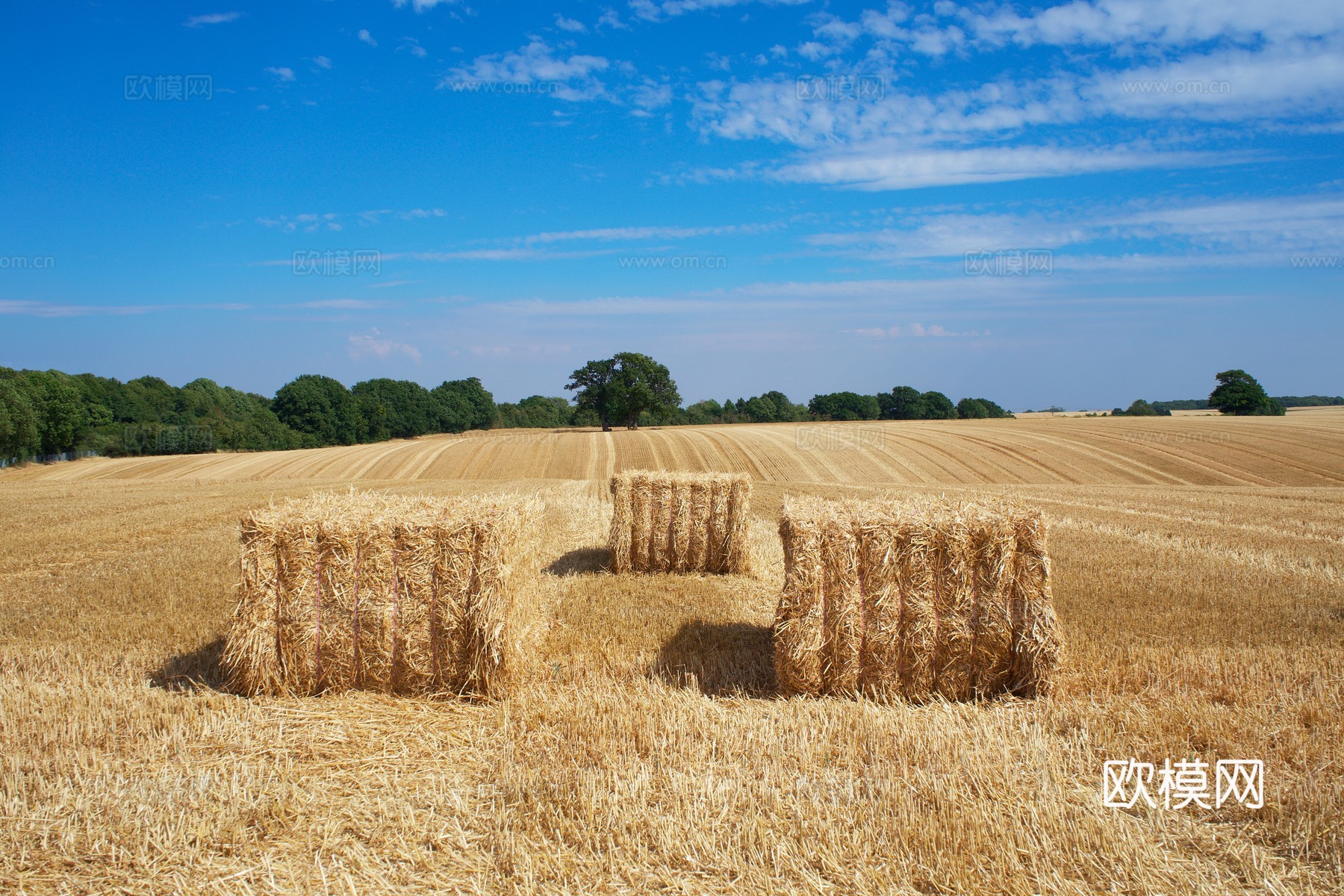 窗户外景   室外景观  大自然外景  乡村外景 外景下载