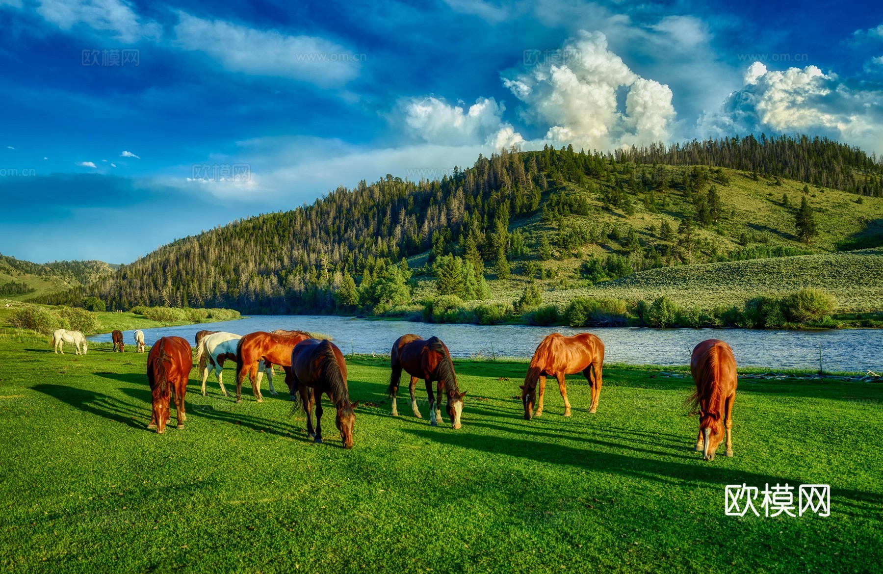 窗户外景  室外景观  大自然外景 乡村外景 外景下载