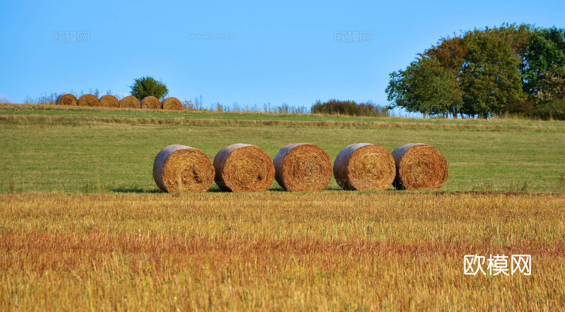窗户外景  室外景观  大自然外景 乡村外景 外景下载