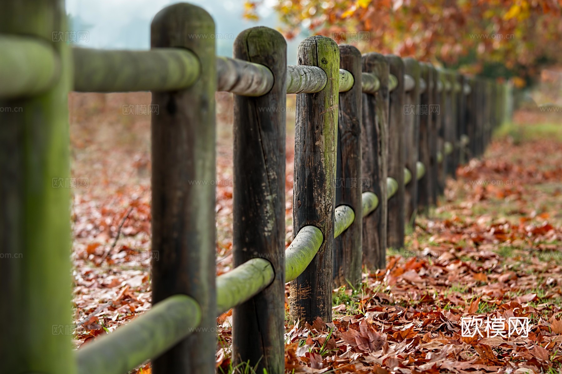 大自然外景 乡村外景 外景   窗户外景  室外景观下载