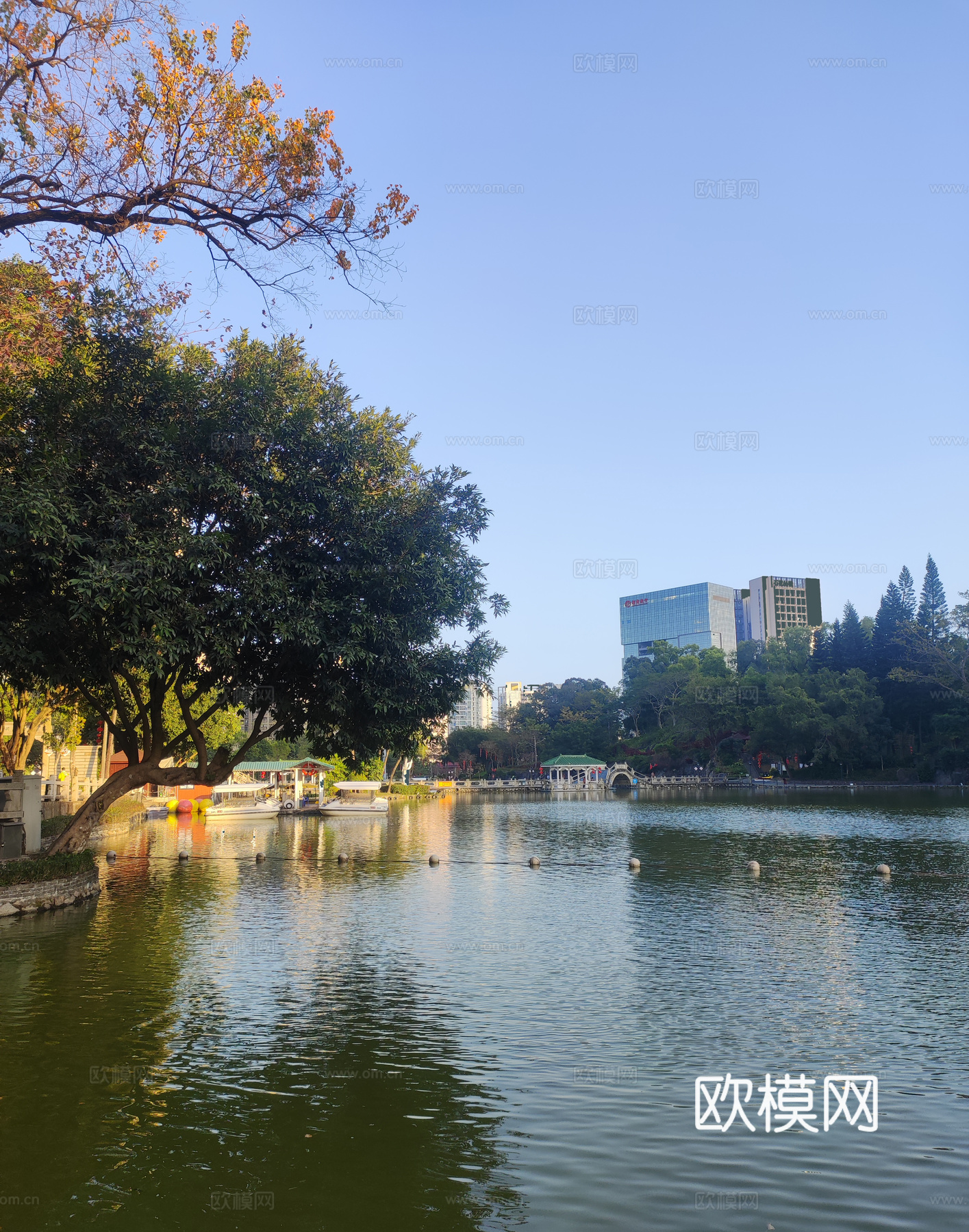湖面波光粼粼