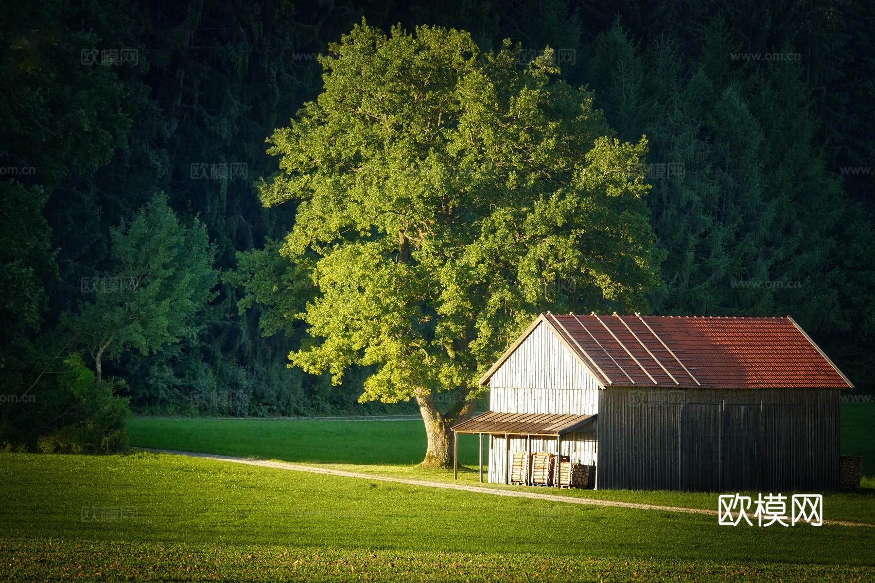 大自然外景  乡村外景 外景   窗户外景   室外景观下载
