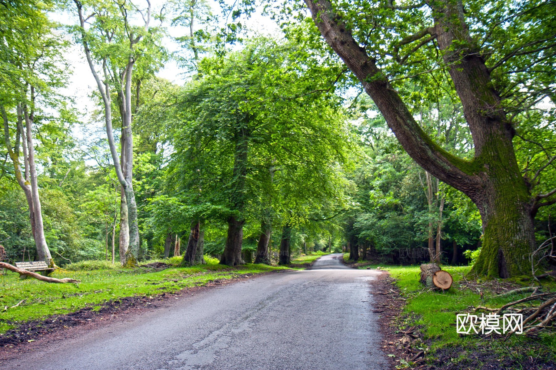 窗户外景  室外景观  大自然外景 乡村外景 外景下载