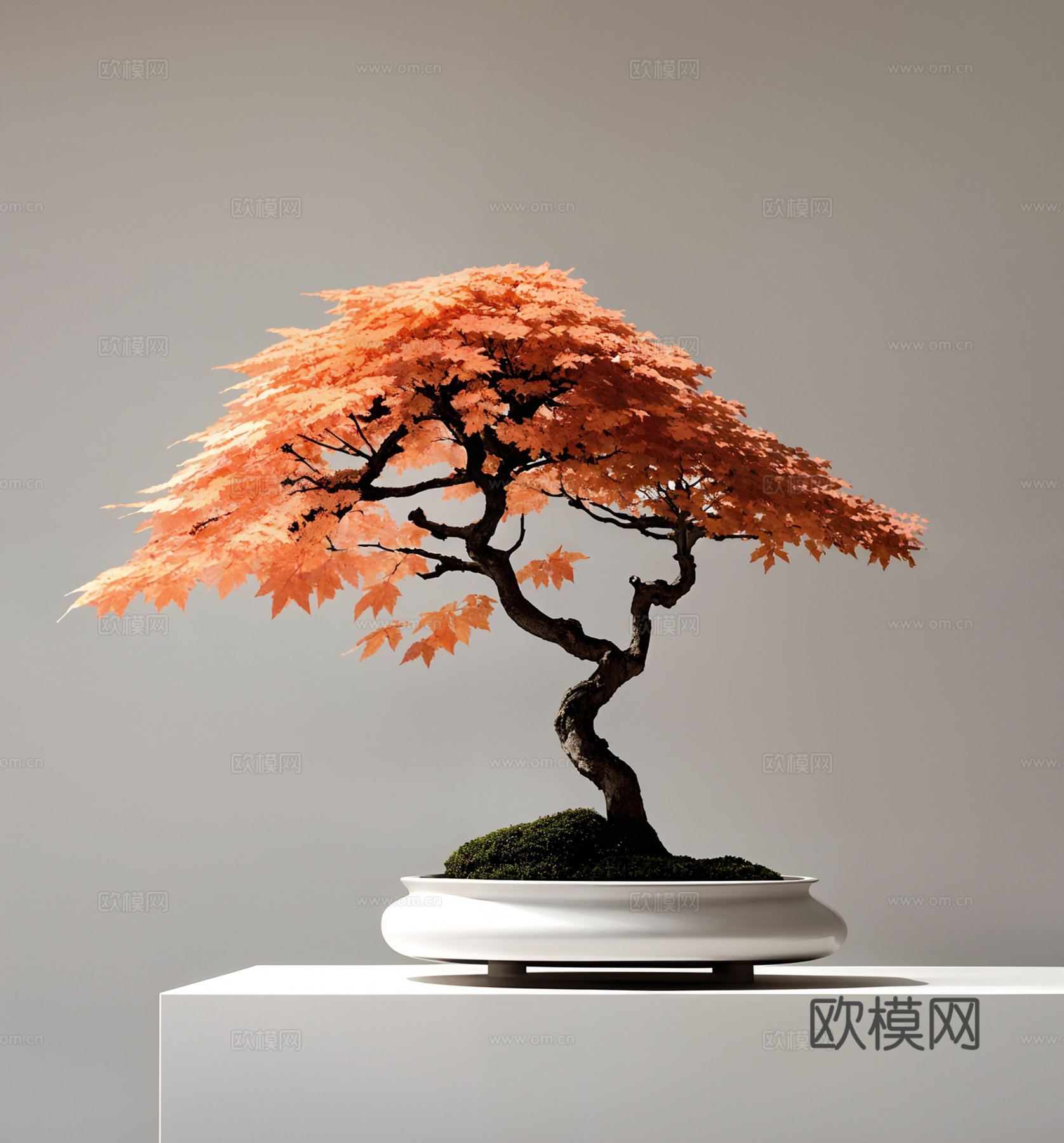 新中式枫叶盆景3d模型
