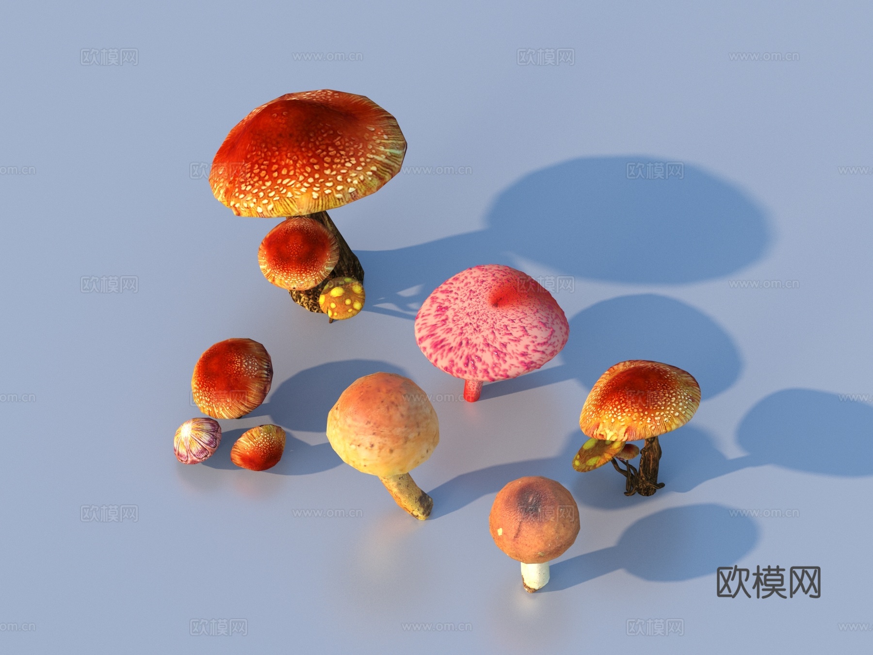 蘑菇 草菇 毒蘑菇3d模型