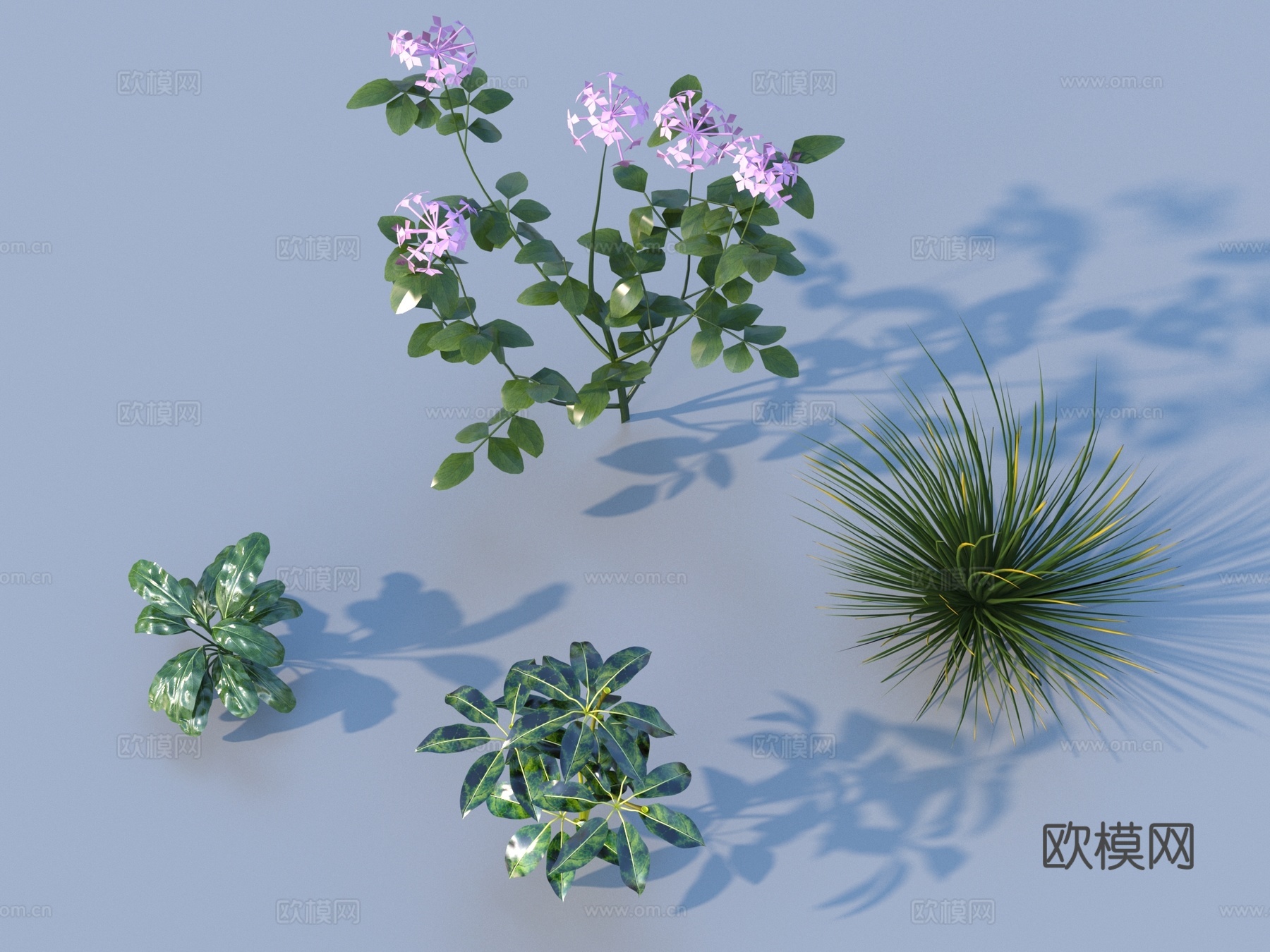 草 室外景观花草3d模型