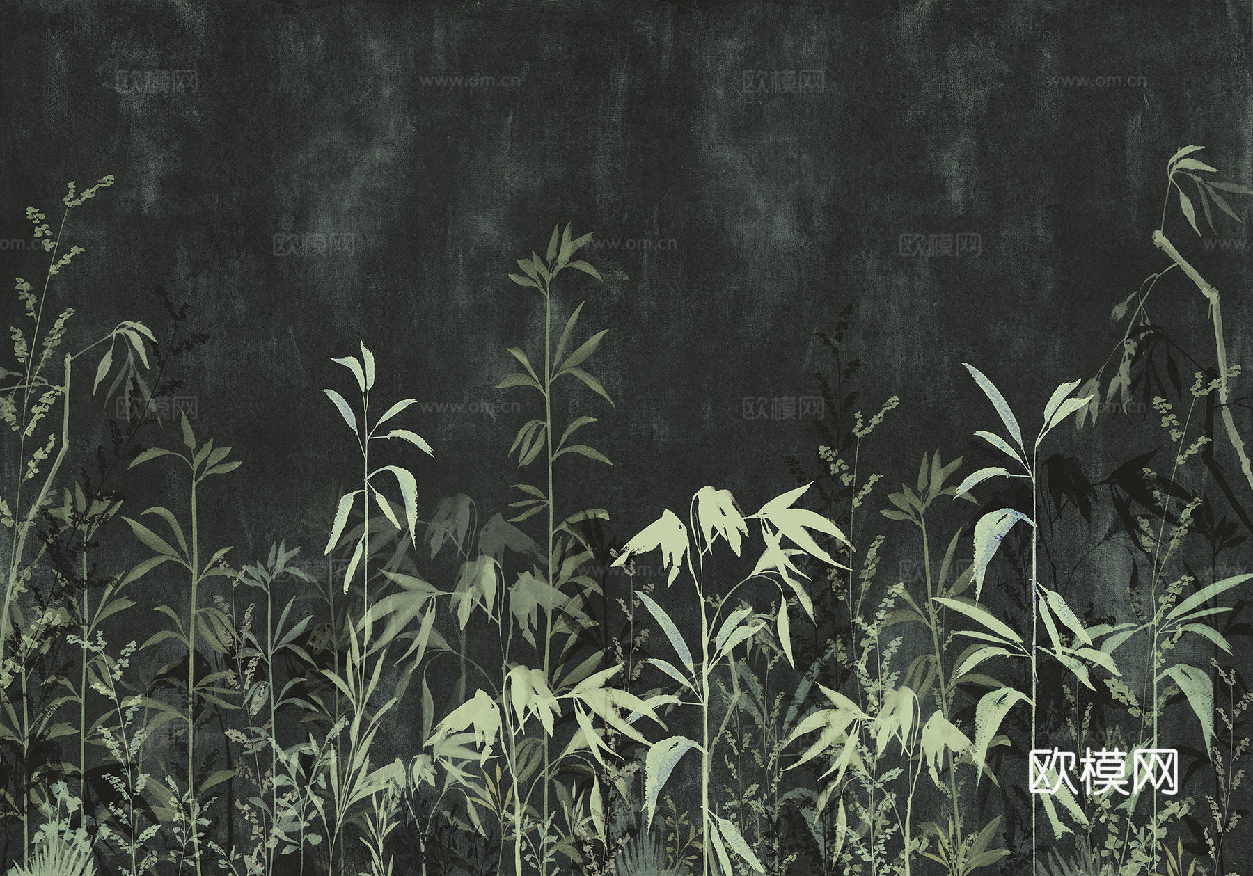 黑色植物壁纸