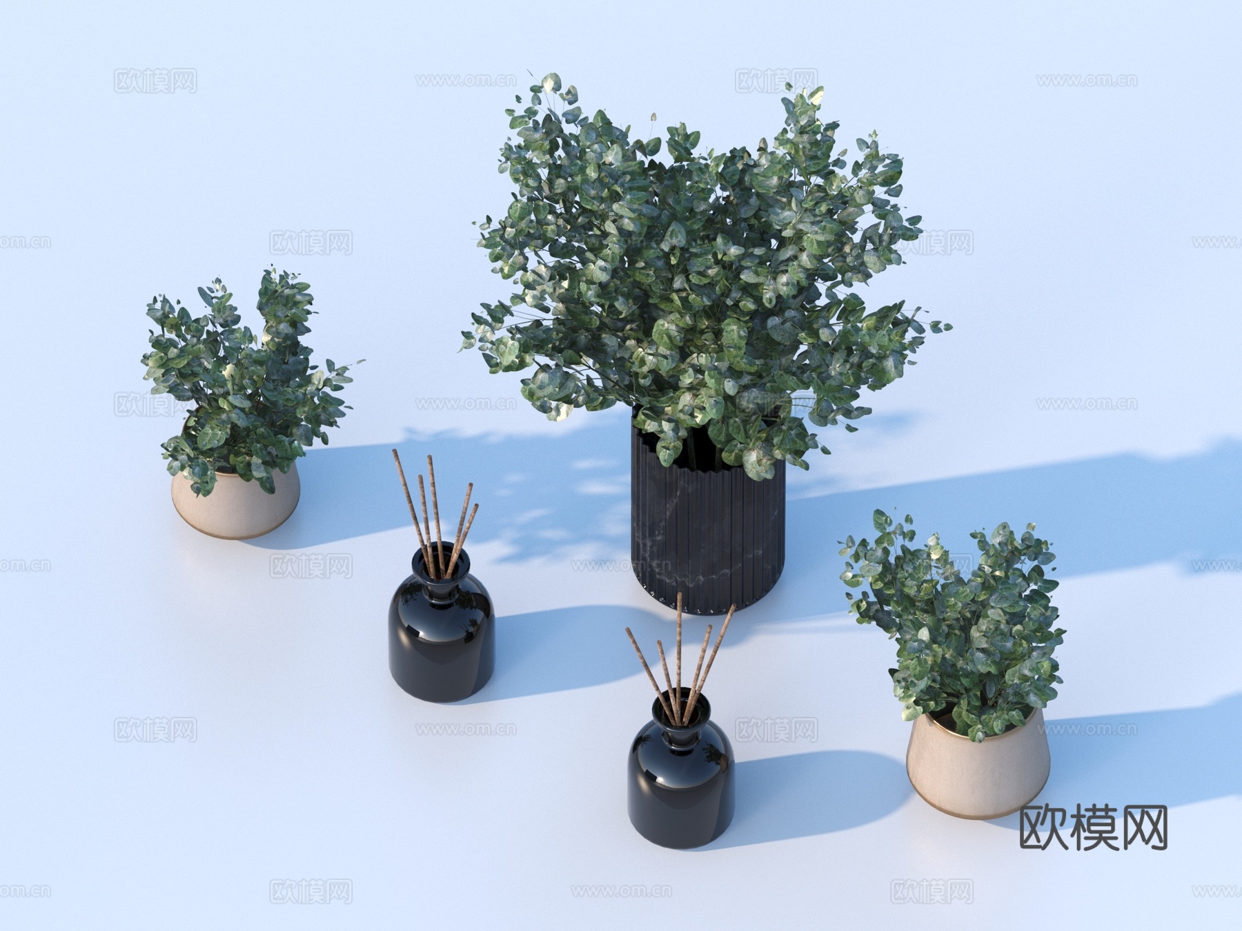 花盆 盆栽 绿植 植物3d模型