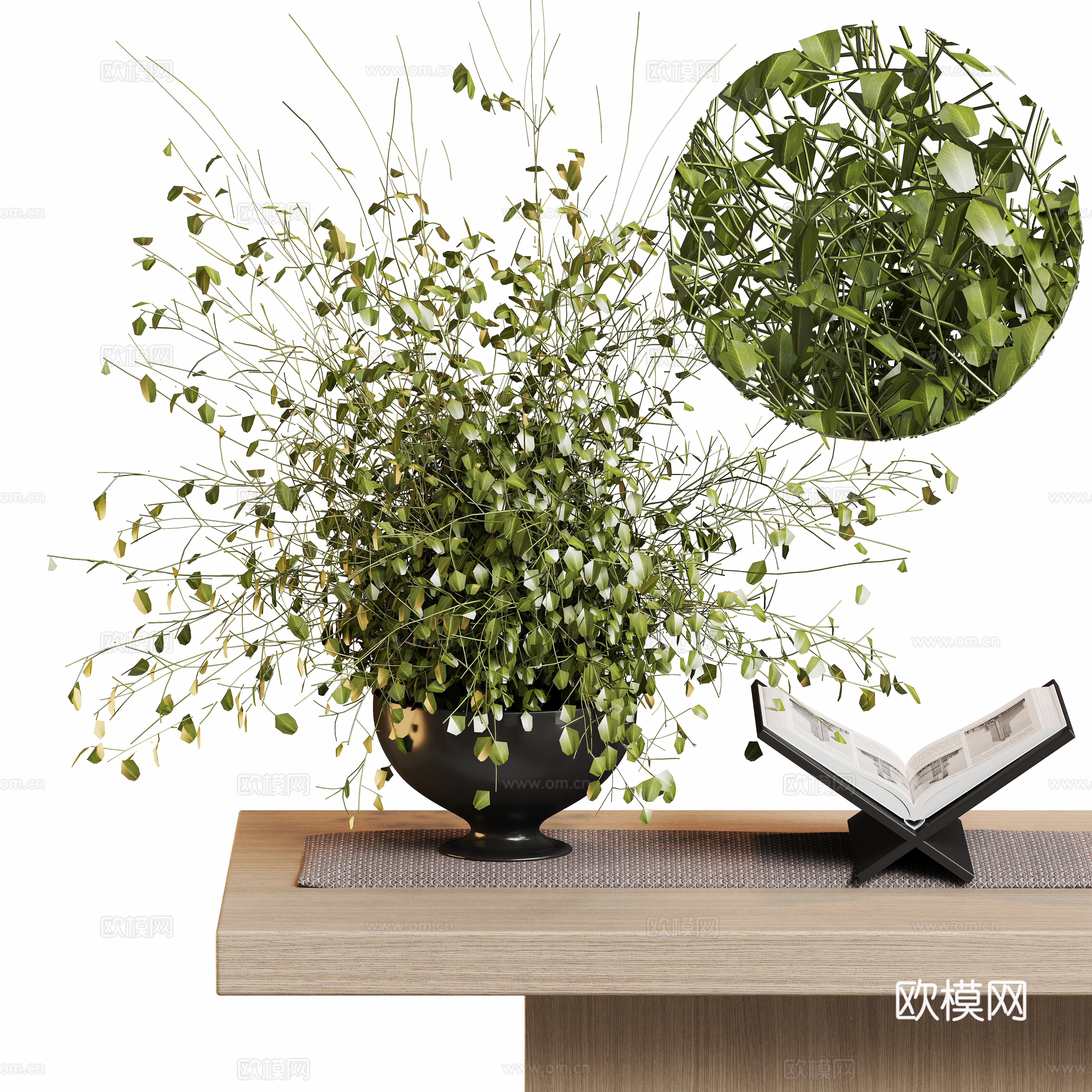 现代花卉盆栽植物摆件3d模型