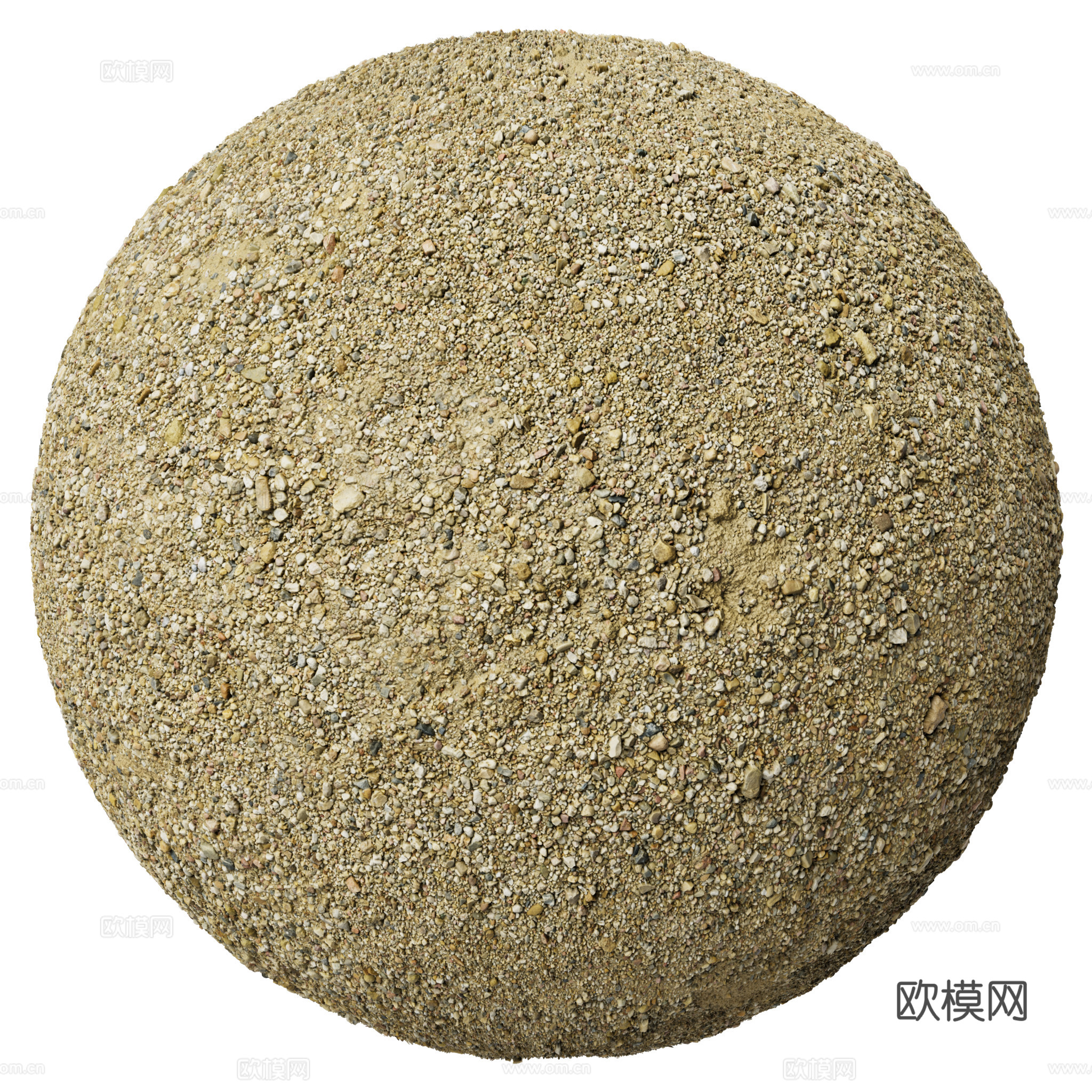 地面 土壤 自然 树枝 碎石